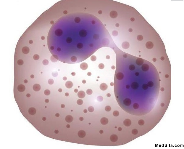 Эозинофил